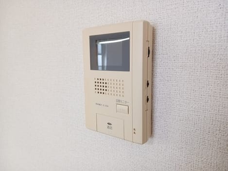 Naikan11 20250116000000