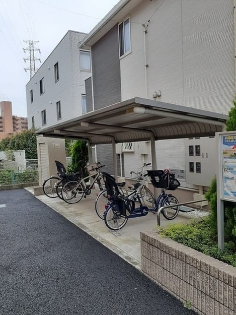 Naikan11 20241105000000