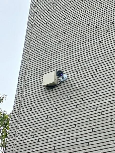 Naikan11 20260911000000 945x630
