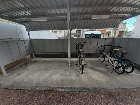 Naikan9 20231126000000