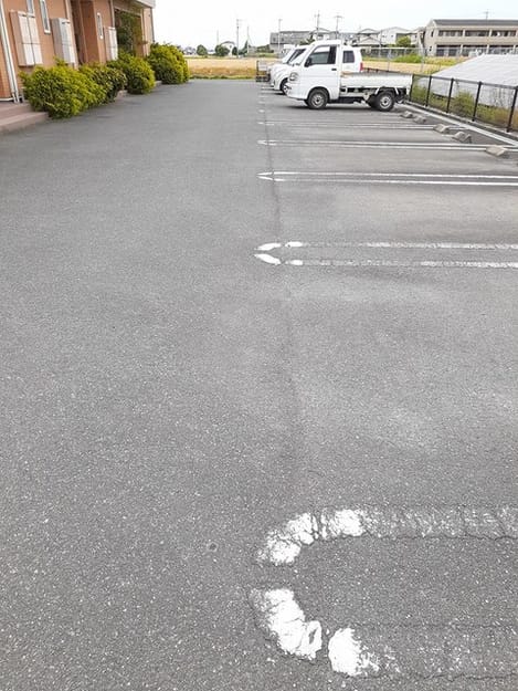 Naikan11 20230526000000
