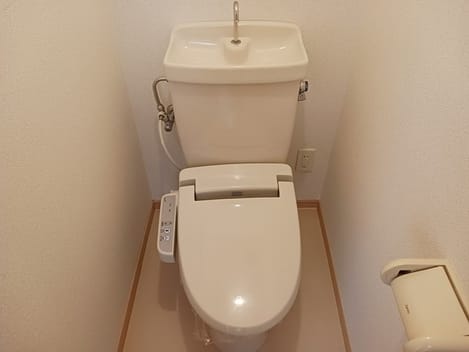 Naikan6 20241105000000