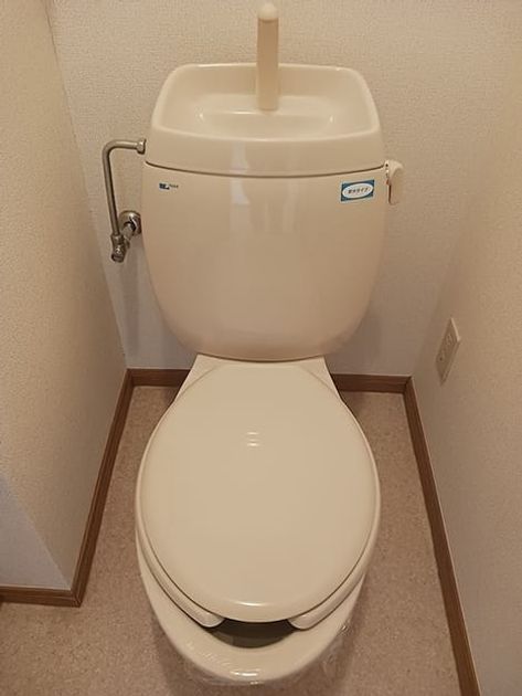 Naikan8 20261013000000 945x630