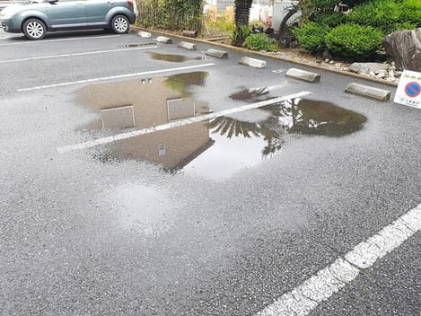 Naikan11 20220527000000