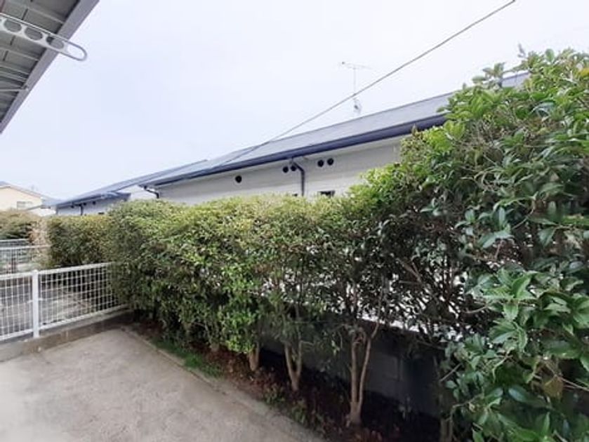 Naikan9 20220418000000 945x630