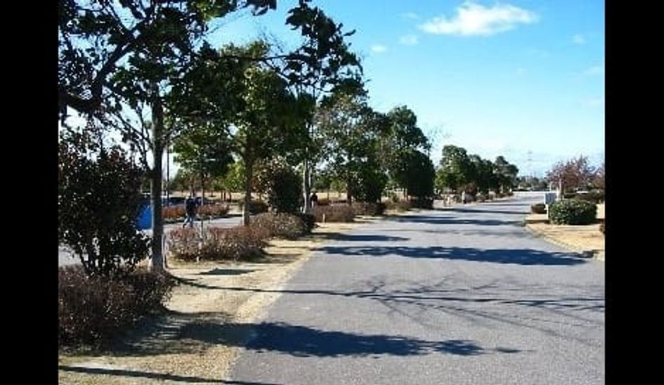Naikan17 20250521000000 945x630