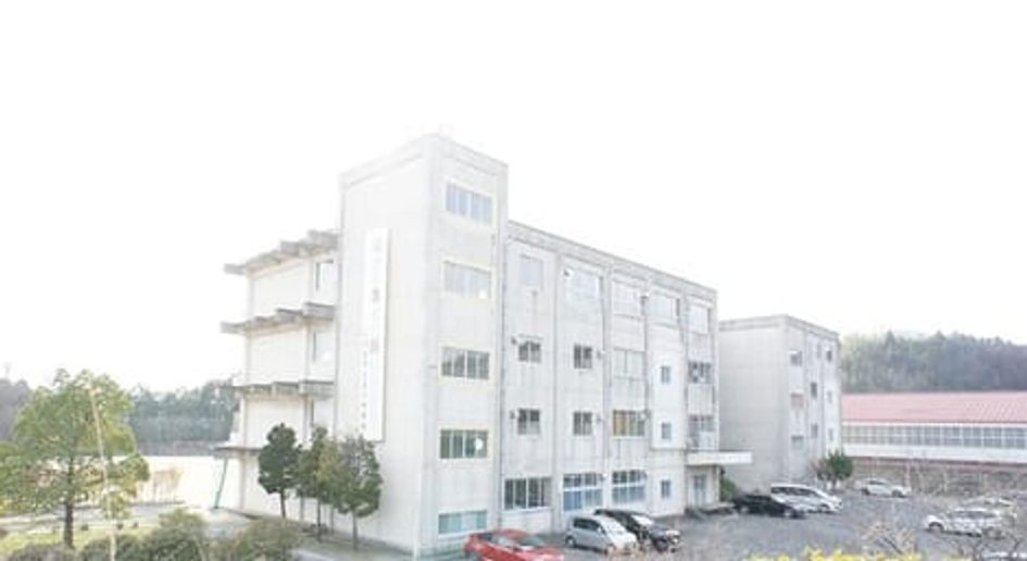 Naikan13 20260212000000 945x630
