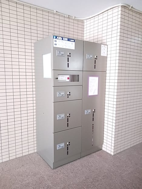 Naikan11 20260924000000
