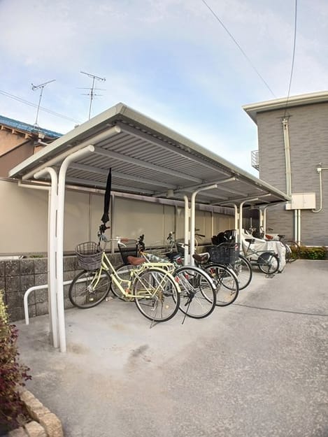 Naikan11 20241220000000
