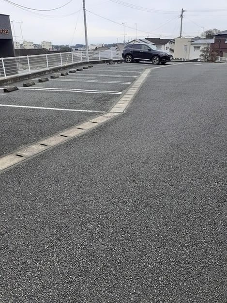 Naikan10 20240201000000