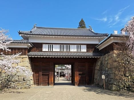 Naikan17 20260626000000