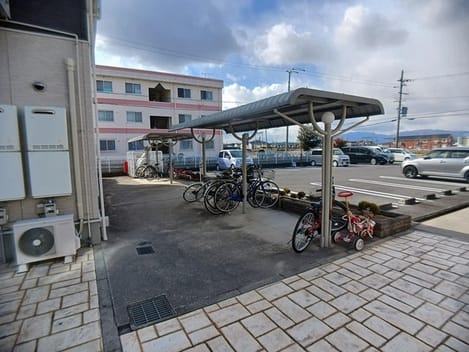 Naikan9 20250205000000