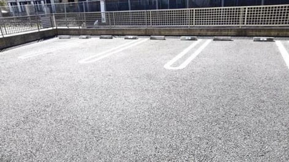 Naikan11 20200324000000 945x630