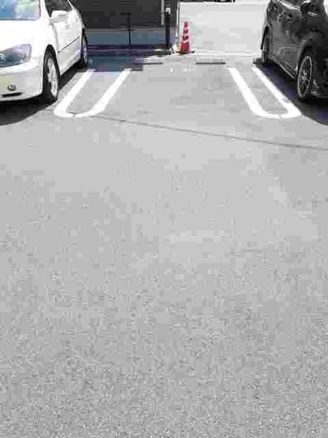 Naikan6 20210325000000 945x630