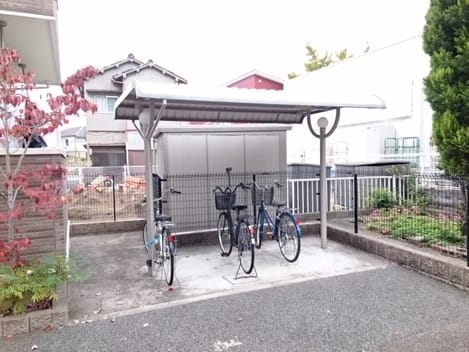 Naikan8 20201113000000