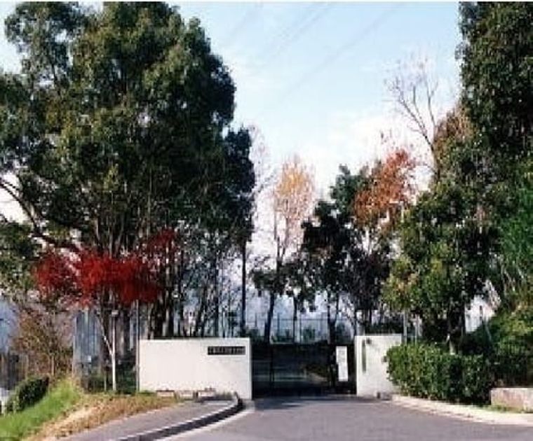 Naikan16 20230602000000 945x630