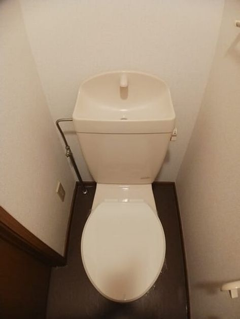 Naikan7 20251106000000 945x630