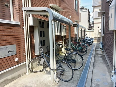 Naikan11 20250804000000