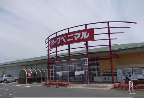 Naikan14 20240214000000