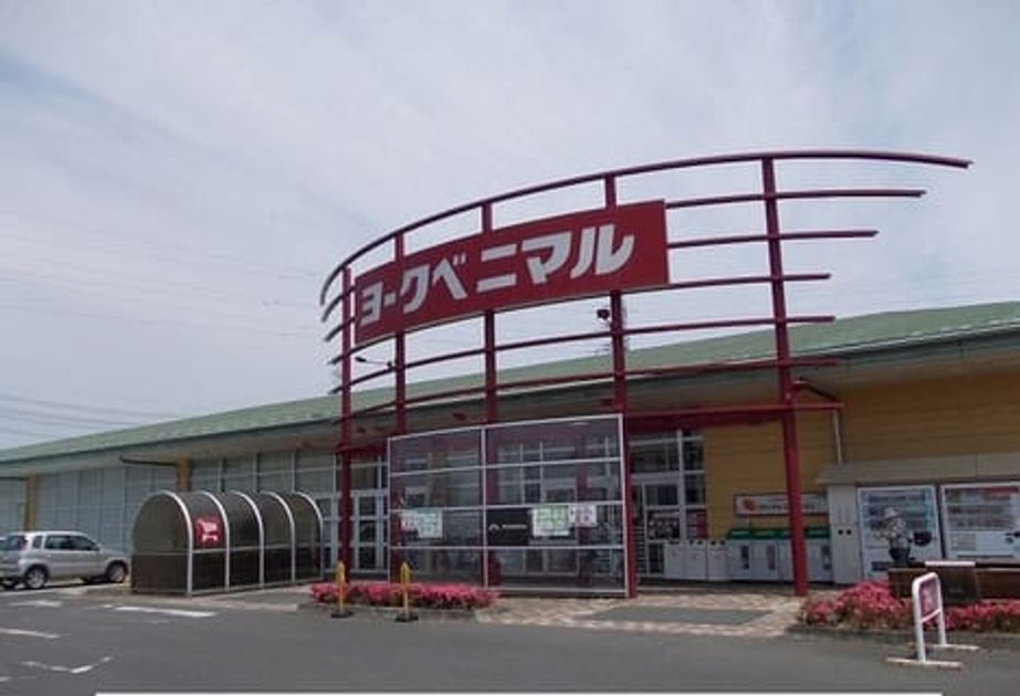 Naikan14 20240214000000 945x630