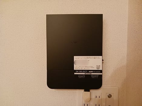 Naikan10 20241203000000