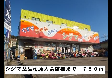 Naikan13 20150409000000