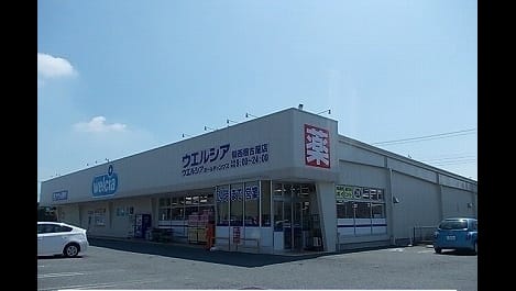 Naikan13 20261019000000