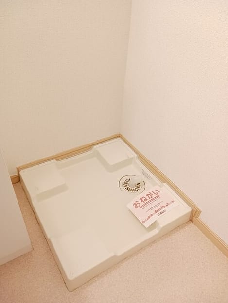 Naikan11 20250623000000