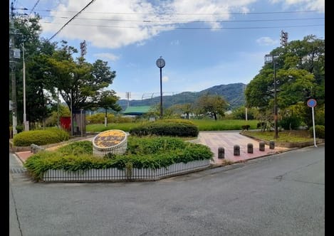 Naikan18 20250611000000