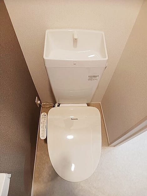 Naikan5 20260116000000