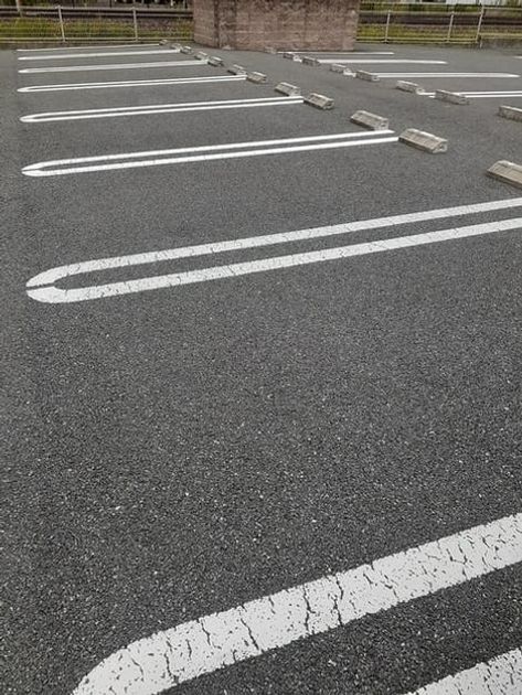 Naikan11 20261027000000 945x630
