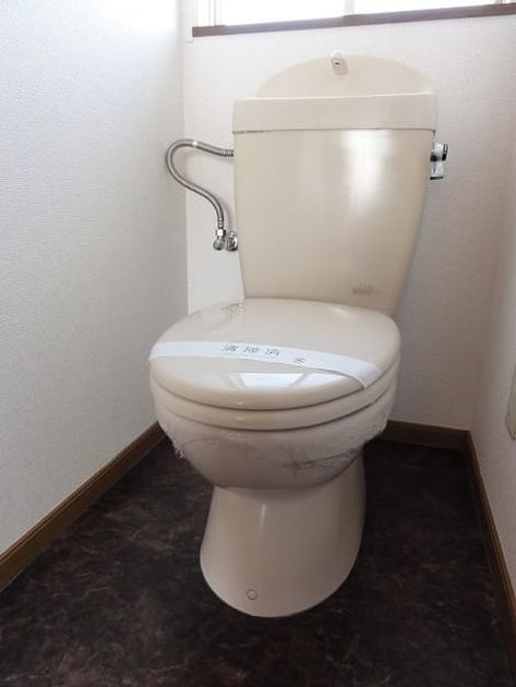 Naikan8 20261021000000 945x630