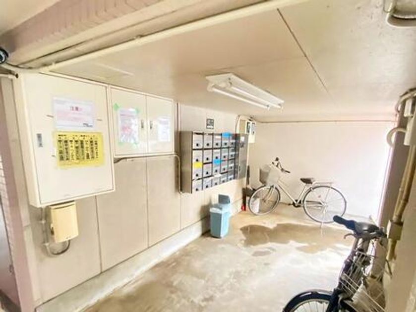 Naikan21 20250315180325 945x630
