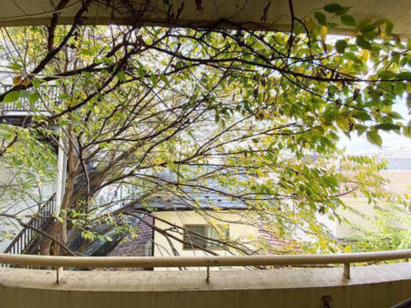 Naikan15 20251120105350 945x630