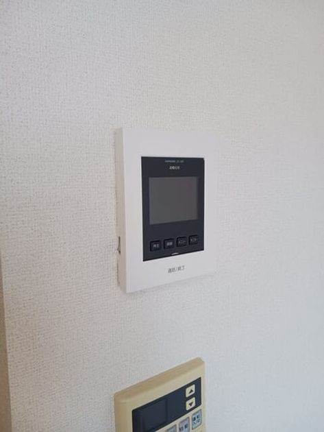 Naikan11 20250725000000 945x630