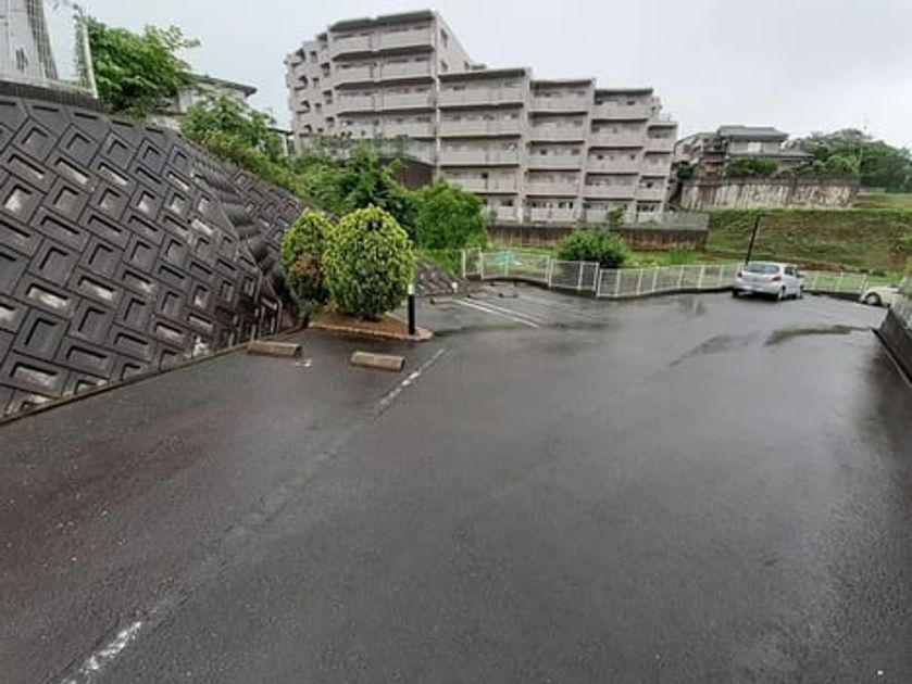 Naikan11 20210604000000 945x630