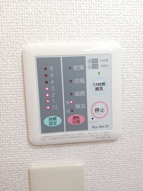 Naikan5 20260203000000