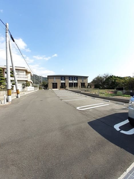 Naikan11 20260209000000