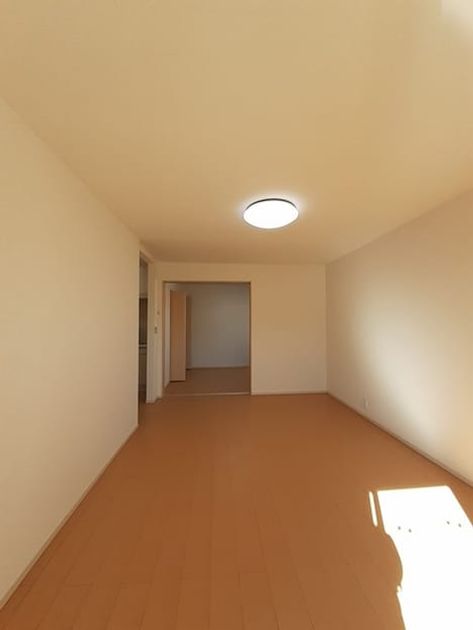 Naikan12 20250314000000 945x630