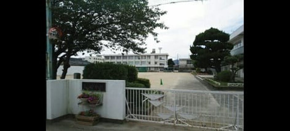 Naikan13 20250514000000 945x630