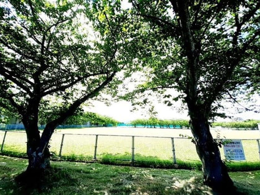 Naikan15 20240920000000 945x630