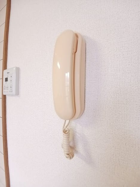 Naikan12 20251031000000