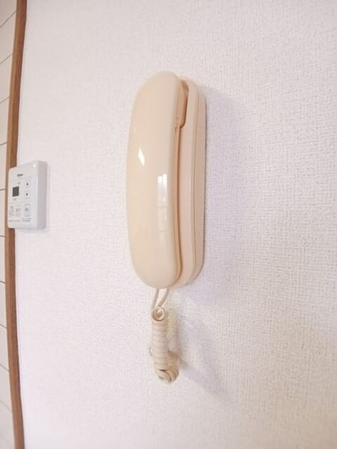 Naikan12 20251031000000 945x630