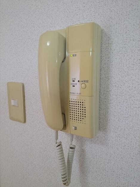 Naikan11 20200303000000