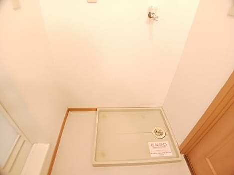 Naikan11 20251219000000