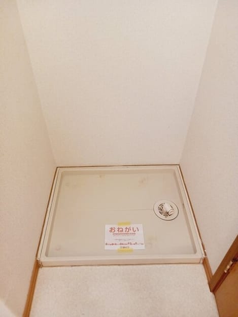 Naikan5 20260121000000