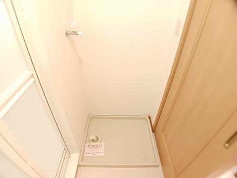 Naikan11 20260114000000