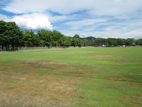 Naikan17 20230224000000