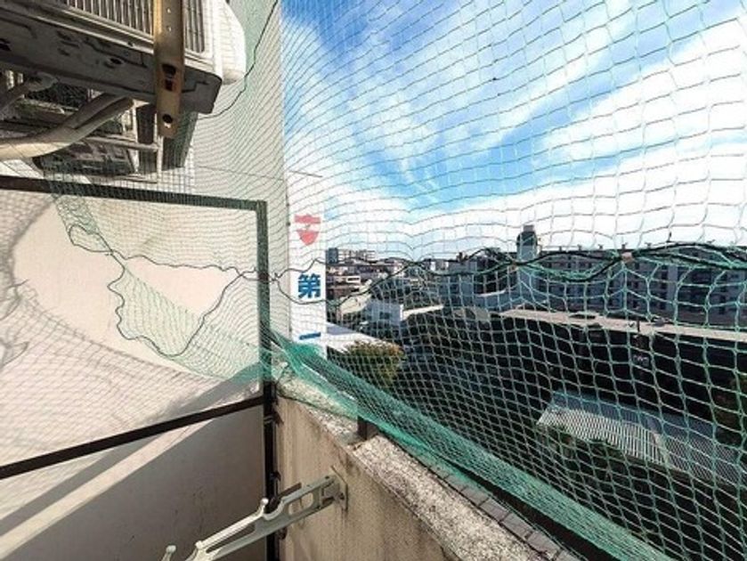 Naikan7 20251208155830 945x630