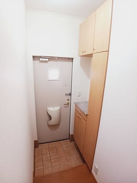Naikan4 20260209000000 945x630